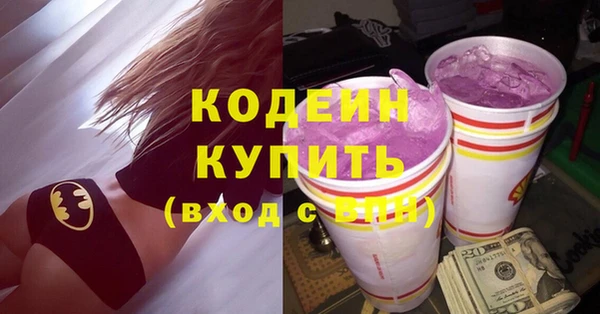 ECSTASY Алзамай