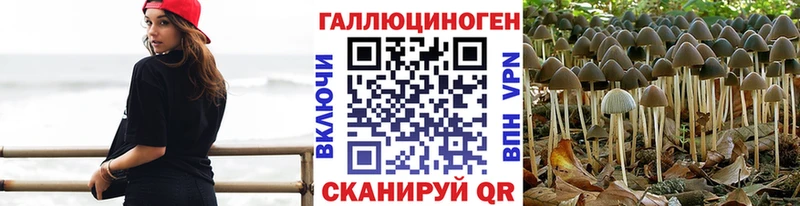 Галлюциногенные грибы Psilocybine cubensis Уварово